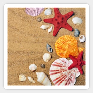 Colorful Seashells Shore Photography Sticker
